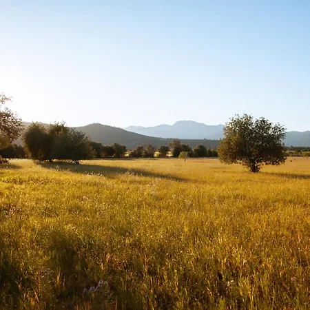 Gospodarstwo wiejskie Casa Mona Turismo De Interior Llubí